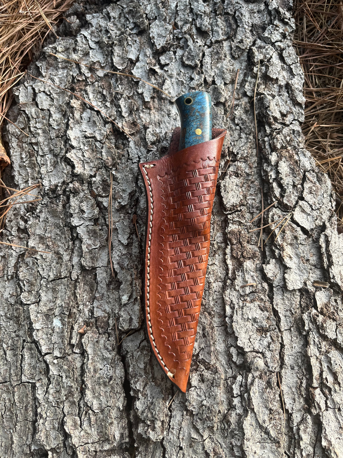 Hunter