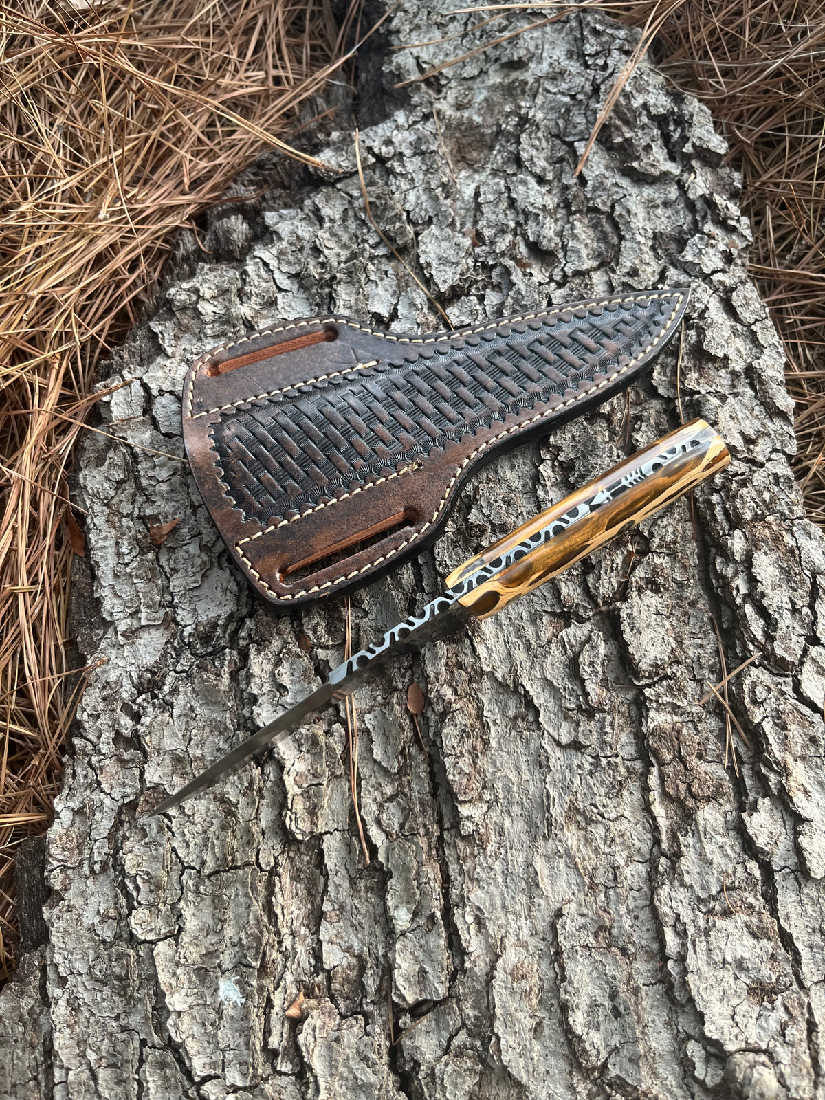 Hog Hunter