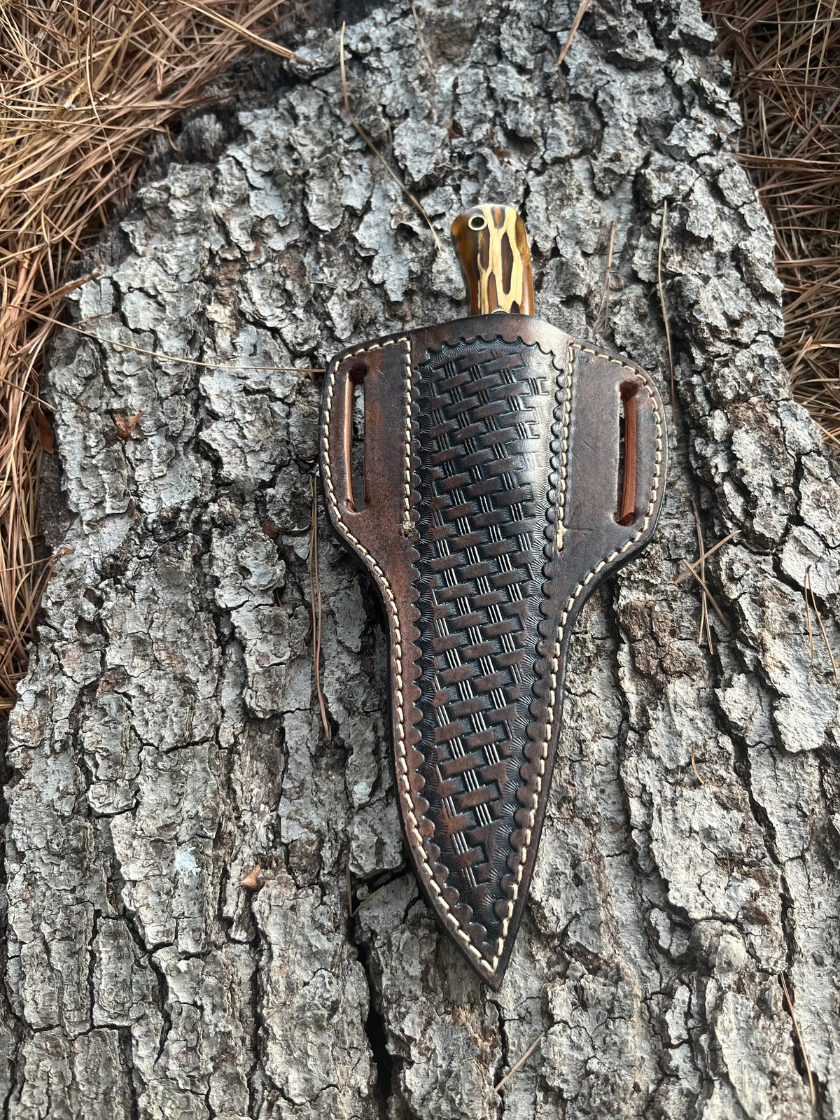 Hog Hunter